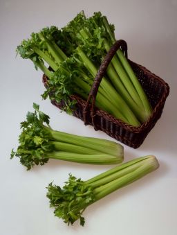 The veggie trays affected  include celery. 