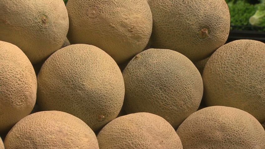 dnt cantaloupe listeria sylvester _00001716