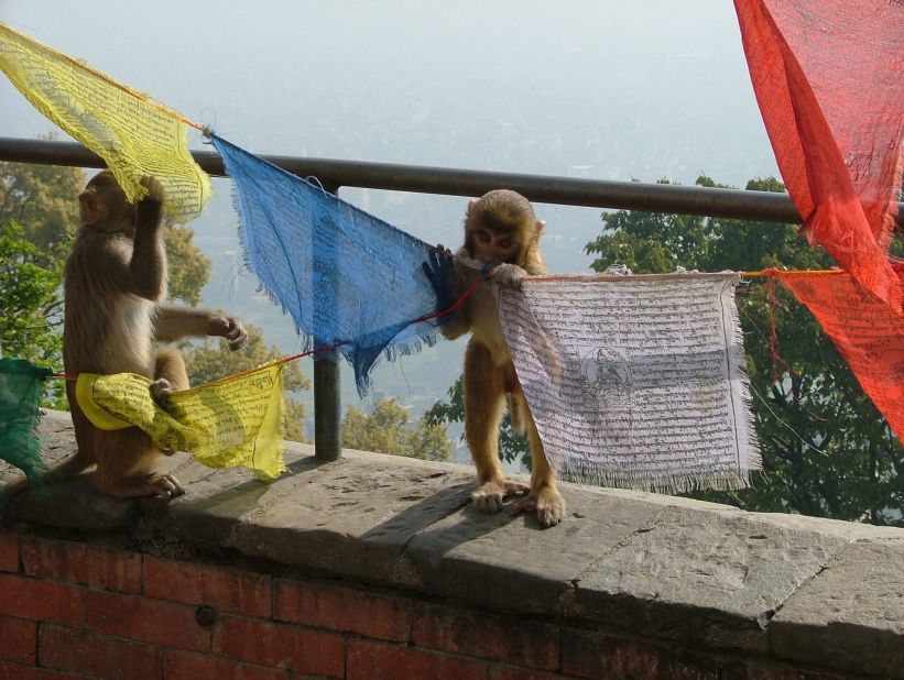Don't be surprised if you see a few monkeys in Kathmandu. Swayambhunath, a complex of religious buildings, is colloquially known as the Monkey Temple. And for good reason: Parts of it are frequented by freely roaming holy monkeys. Gockel says there are so many things that make a visit to Kathmandu dear to her heart. "There is a special atmosphere in Kathmandu and the rest of Nepal," Gockel said. "It is -- despite all the chaos and noise -- a very peaceful place with very friendly people. You start relaxing immediately on arrival and will have a continous stupid smile on your face as long as you are there."