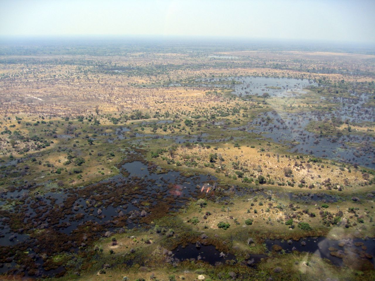 Thousands of tourists go on safari expeditions in Botswana's Okavango Delta every year.
