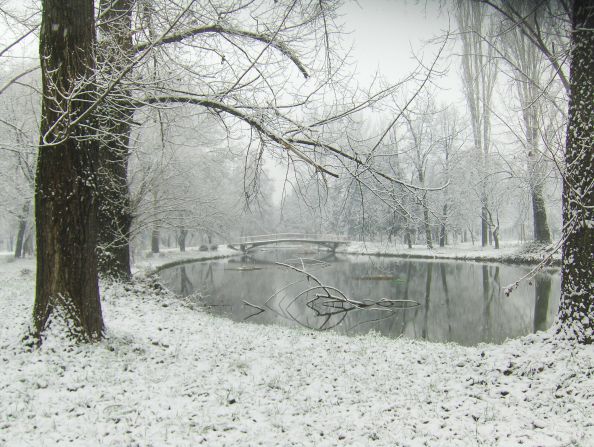 "I took this because I have lived in Canada since I was 7 and one of the things I love is winter," says Igor Arsovski of this picture of a snowy Skopje City Park. Macedonia has cold winters but not as cold as Canada, he adds.