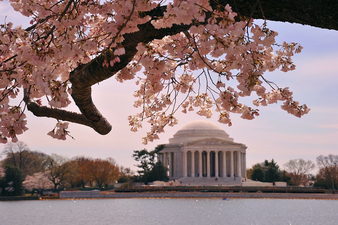 Various types of marble, limestone and granite make up the Jefferson Memorial. From Vermont to Georgia and beyond, the sources of the materials give physical representation to the original states and the expanding union.