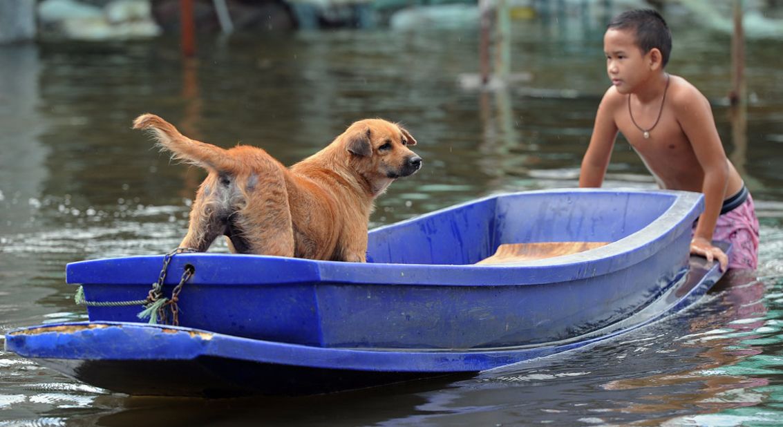 A Thai boy pushes a boat with his dog in floodwaters in suburban Bangkok, on October 11, 2011.