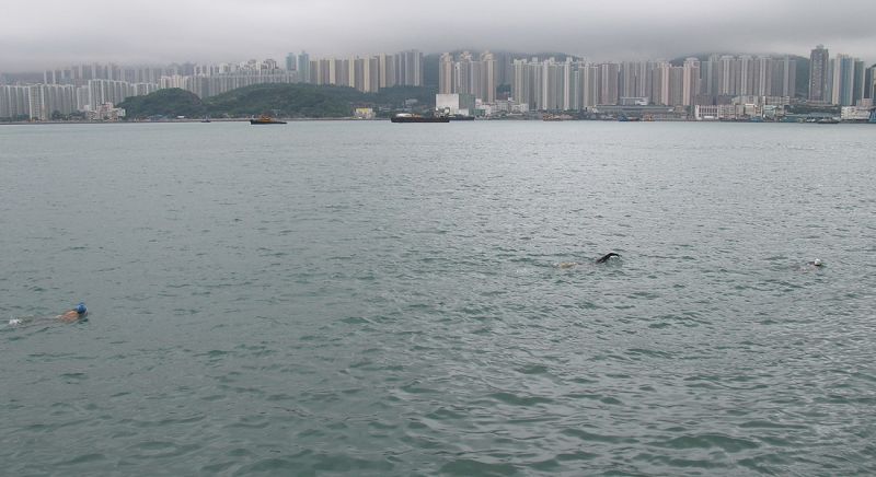 hong kong amateur videos Porn Photos