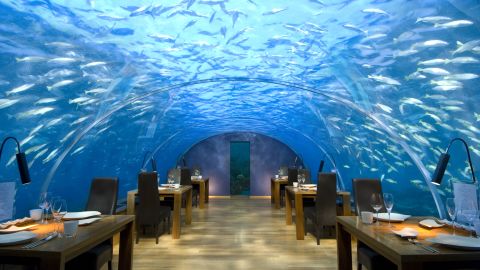There are only 12 seats at this restaurant -- but all of them have fantastic views of the Indian Ocean overhead.