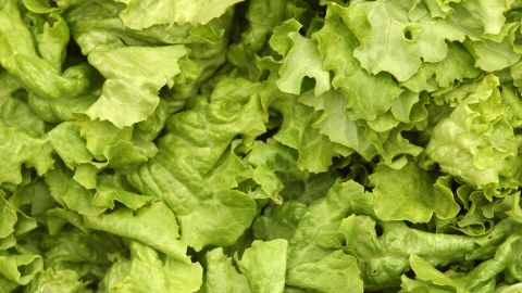 Taylor Farms Retail of California is recalling bagged lettuce with "best by" dates of between October 18 and 21.
