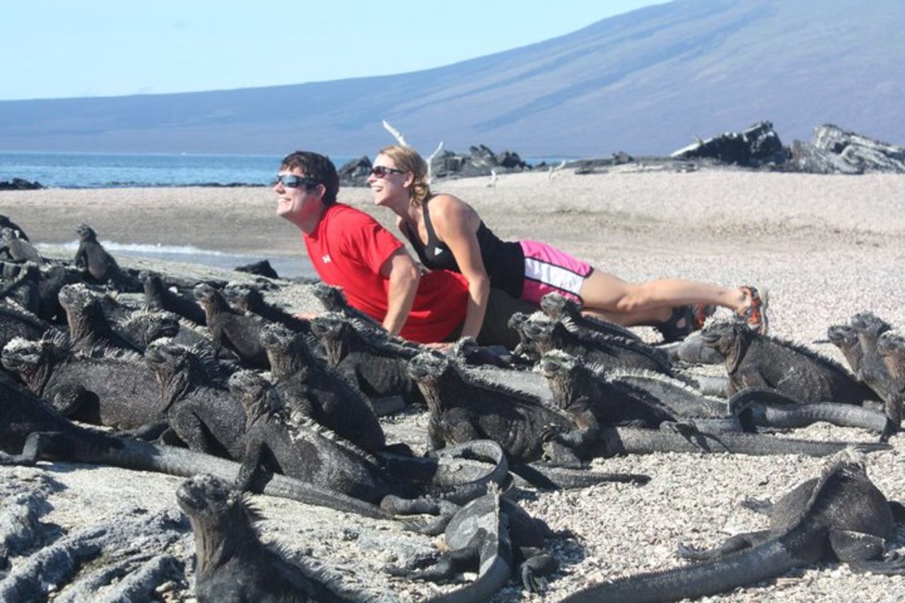 Alex Price, 29, of Reston, Virginia, went to the Galapagos Islands with his wife for their honeymoon in 2010. Here, they bask in the sun as iguanas do. Iguanas are commonly found on the islands, so much so that some consider them a nuisance. The couple spent roughly half their trip on a boat "floating around the islands" and the other portion staying at the Royal Palms Hotel. Price says they made sure to visit the Charles Darwin Research Station on Santa Cruz Island.