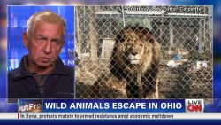 erin exotic animal escape thompson background_00005522