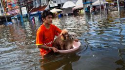 A Thai resident floats his pets down stream as he makes his way through the flooded streets on October 22, 2011 in Pathum Thani on the outskirts of Bangkok, Thailand. 