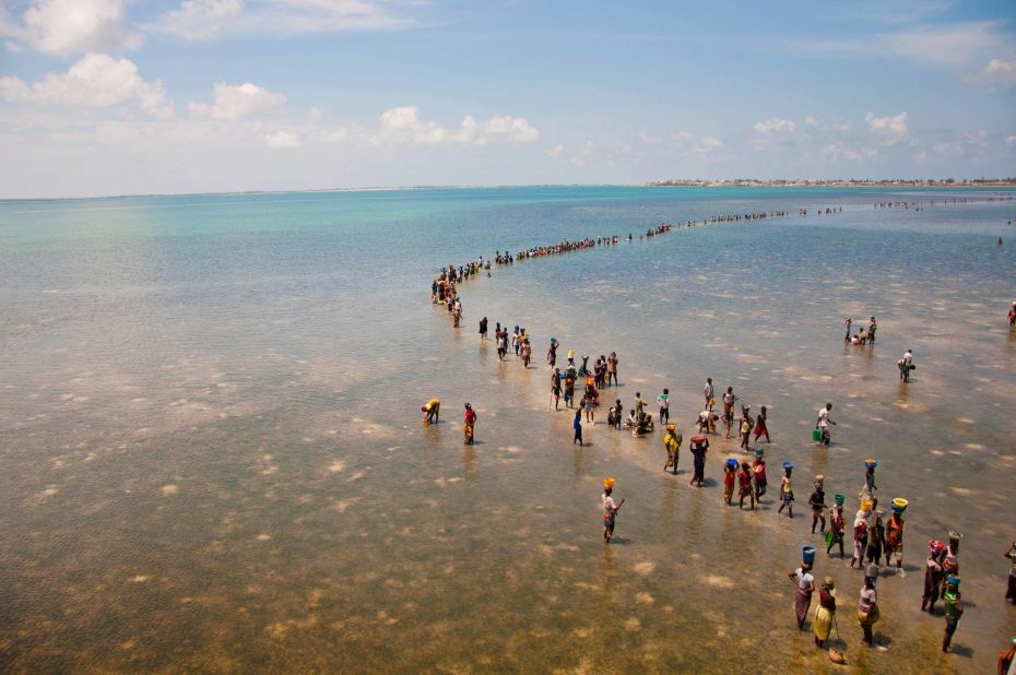 People walk across the water to the island of Mozambique once the tide is out.  Along the route locals collect different types of seafood to sell at market. 