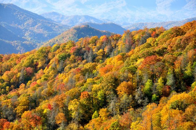 "Rolling hills of trees with leaves in different shades of reds, oranges and yellows are seen from one of the many lookouts at the Great Smoky Mountains National Park," Wei Ping Teoh said of his photo.