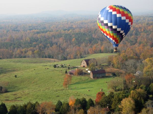 Ginger Gill Mullins took a photo of this hot air balloon during her own balloon trip over Charlottesville, Virginia. "It was so awe-inspiring yet peaceful to be in an open basket drifting hundreds of feet off the ground."