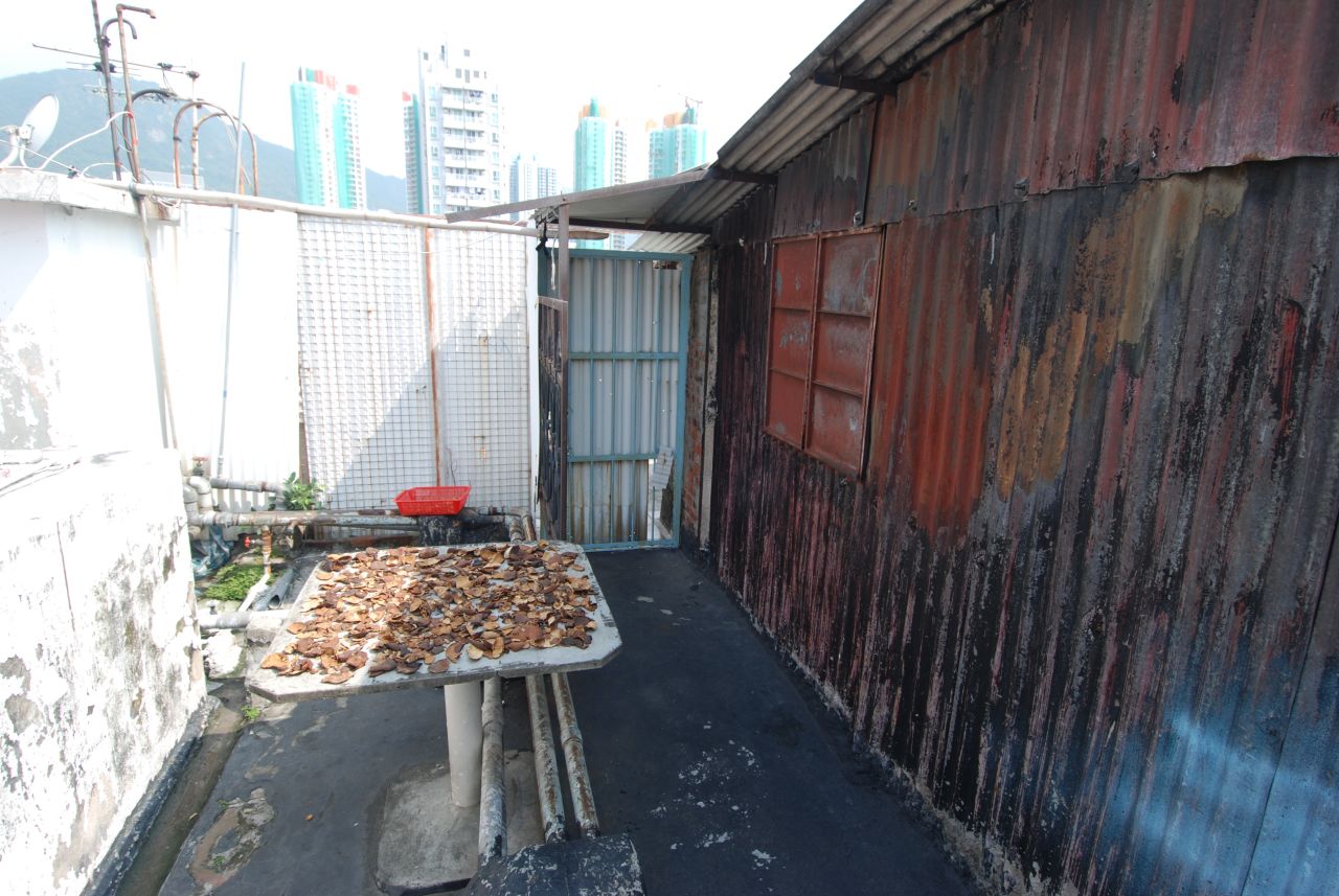 Mushrooms are spread out to dry at this rooftop settlement in Sham Shui Po, Hong Kong.
