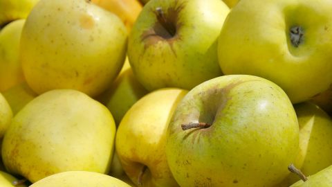Golden Delicious apples are among the Arctic's non-browning varieties.