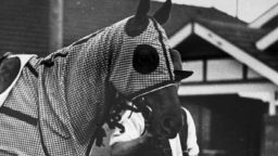 winning post phar lap_00031921