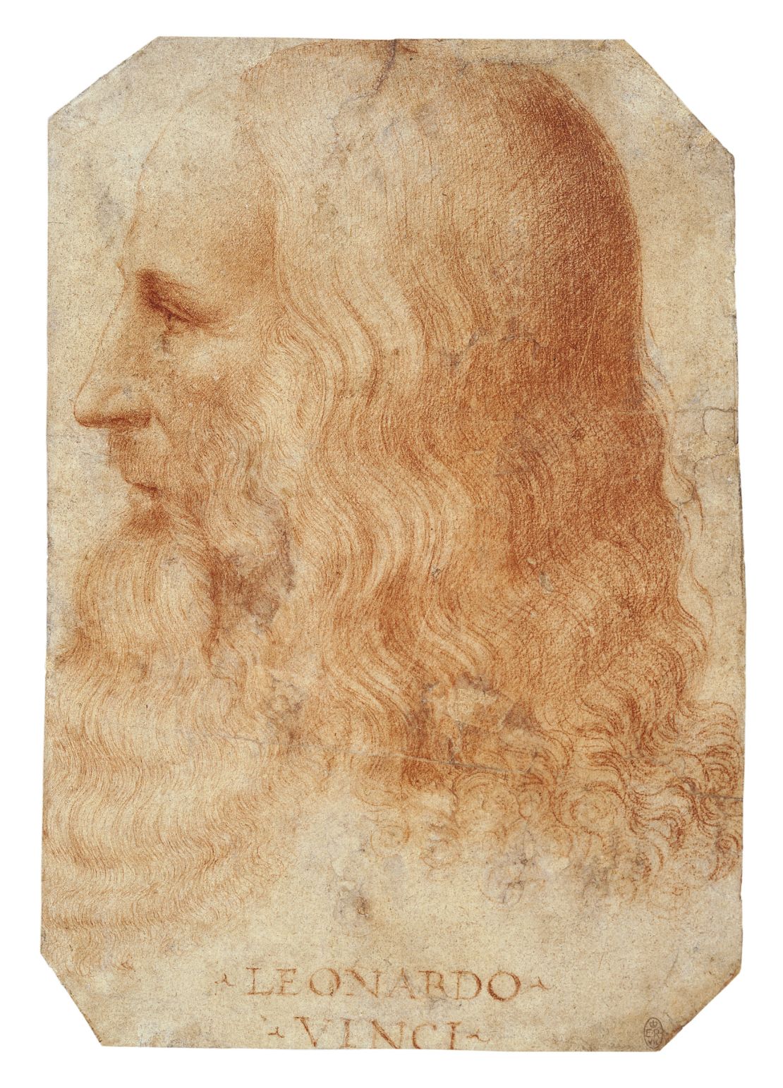 Detail of drawing of Leonardo da Vinci, by Francesco Melzi (1493-1570), c. 1515. 
