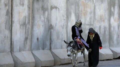 Do girls have sex with dogs in Damascus