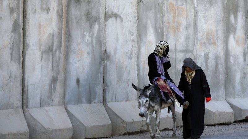 Dog girl in Baghdad in sex Donkey sex
