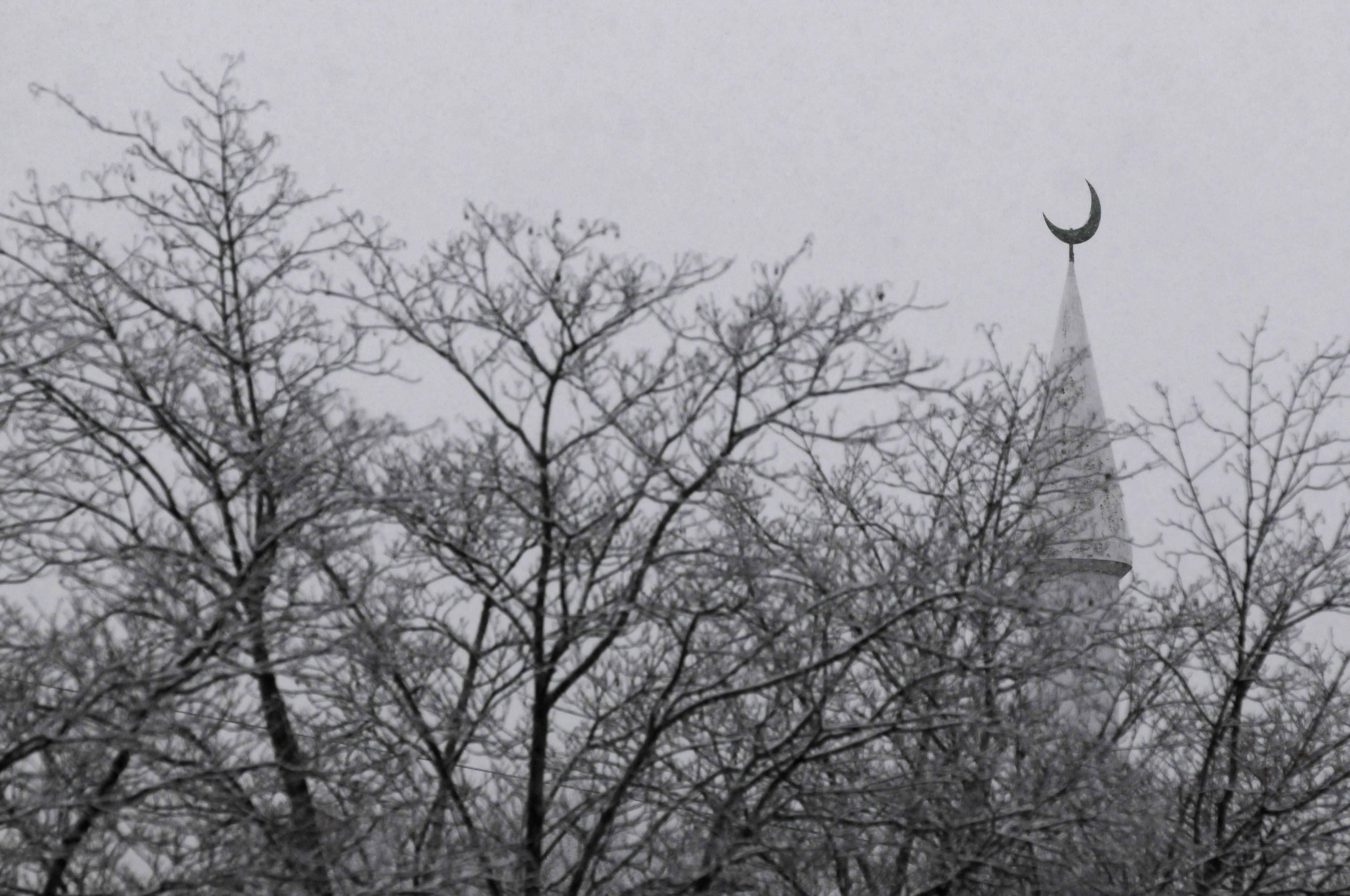 Mosque in southwest France attacked with animal blood and pigs head