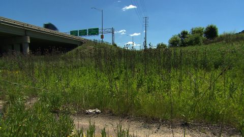 A grassy strip between expressways links two halves of Chicago's 4th Congressional District, held by a Democrat.