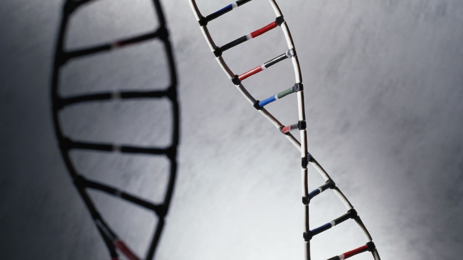 DNA single helix illustration