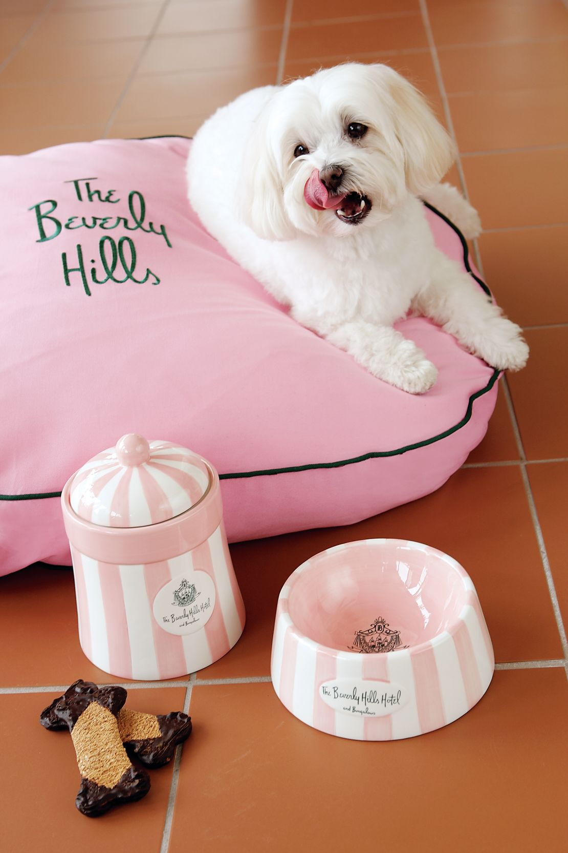 A The Beverly Hills Hotel, even pooches are treated to personalized pillows.