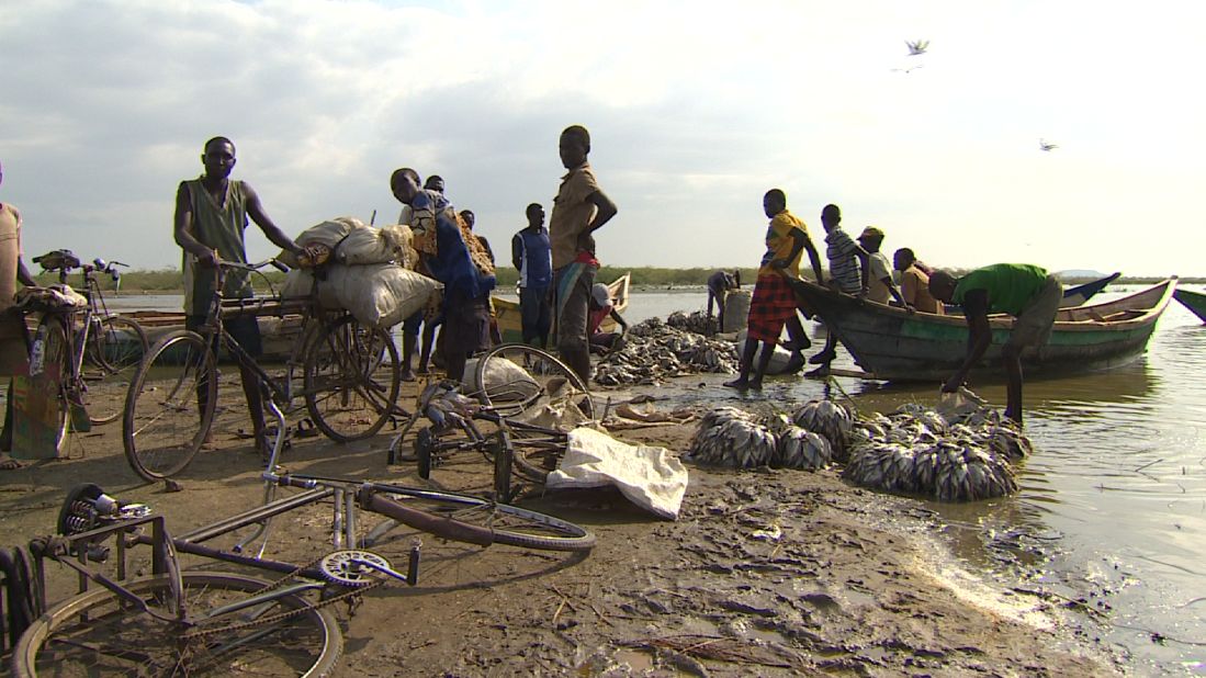 Fishermen bringing in their catch from Lake Turkana, the largest permanent desert lake in the world.