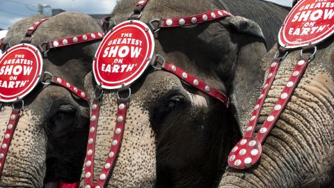 The lawsuit alleged that the Ringling Bros. and Barnum & Bailey Circus systematically abuses and exploits elephants.