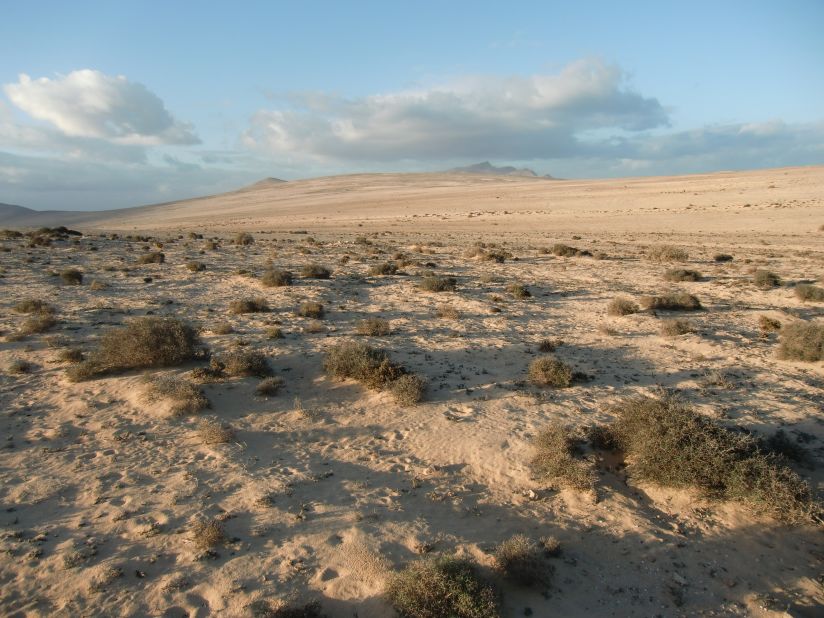 How climate change has affected your favorite landscapes | CNN