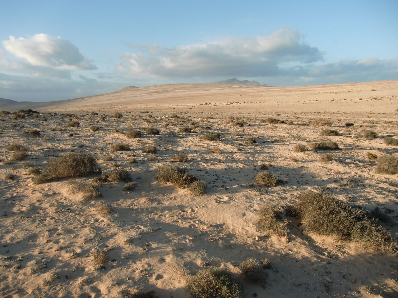 Markku Rainer Peltonen took this photo of Fuerteventura. He says climate change threatens the island's desert and semi-deserts, and adds: "Fuerteventura's ecosystem is sensitive because of erosion, too. The island's fast-growing tourism may also leave negative traces with regards to its unique landscape, fauna and flora."