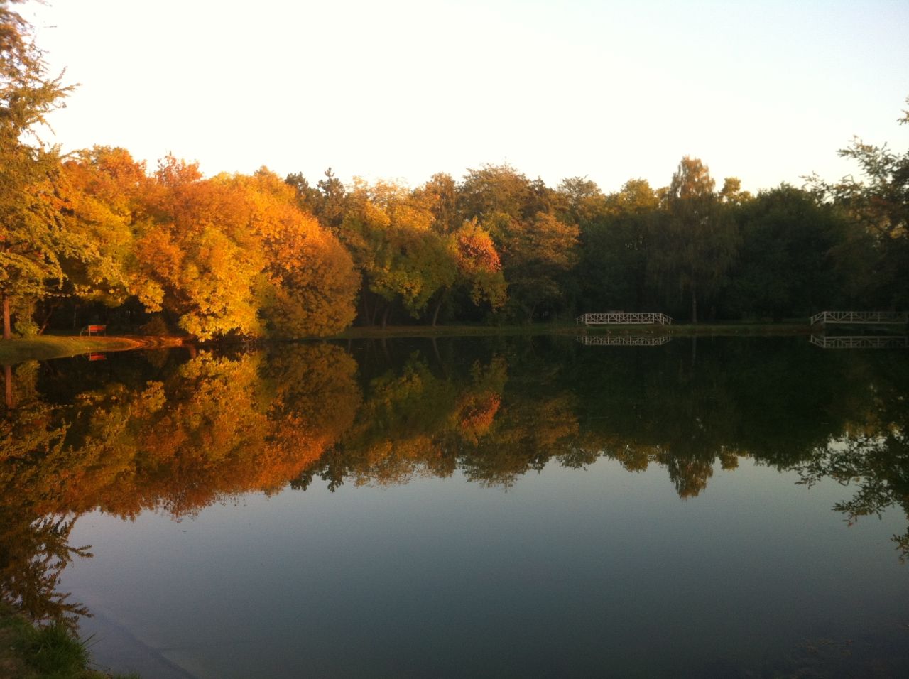 The city park in the Macedonian capital of Skopje is a favorite spot for Stefan Nikovski. "This area is a place where I often go to look at the reflection in the water and just relax from everything else," he says. "Climate change affects everything everywhere. It is important to protect this area because it is the only park we have," he adds. 