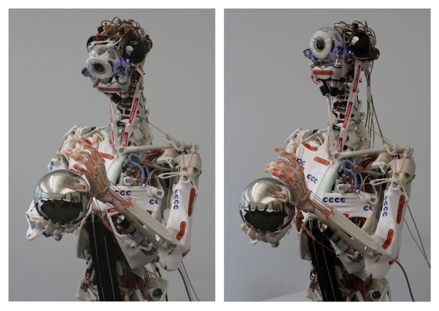 Eccerobot is an EU-funded project that aims to build "the first truly anthropomimetic robot." That means, rather than just copying the external appearance of a human, it is built by mimicking a human's bones, joints, muscles, and tendons.