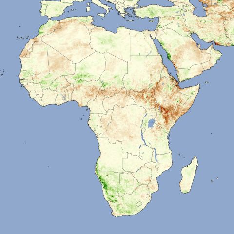 Twelve million people were facing<a href="http://edition.cnn.com/2011/WORLD/africa/07/21/africa.famine.voices/index.html"> starvation in the Horn of Africa</a> in July as devastating droughts hit the region. NASA's image depicts plant activity, with darker brown representing sparser growth. The drought lasted until early October, says the WMO, when a deluge of rain fell providing relief but also damage to crops. 