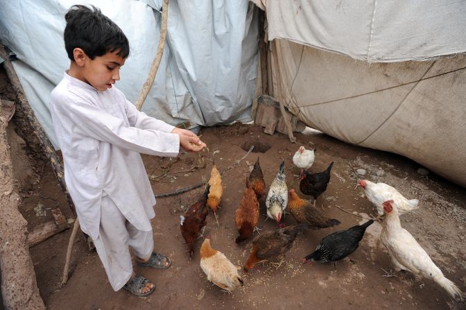More and more aid organizations are offering charity "gift catalogs" that offer tents, water cans, even livestock and poultry for families in need. For as little as $30, <a href="http://gifts.rescue.org/" target="_blank" target="_blank">you can buy a flock of chickens for a needy family from International Rescue Committee</a> as a "symbolic gift" for a friend or relative. The charity will often mail a beautiful holiday card to your loved one with a personalized message from you. So if you don't want another pair of slippers or scented lotion set this year, make sure to tell your family and friends about this great gift idea.