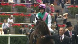 When Horses Fly_00012226