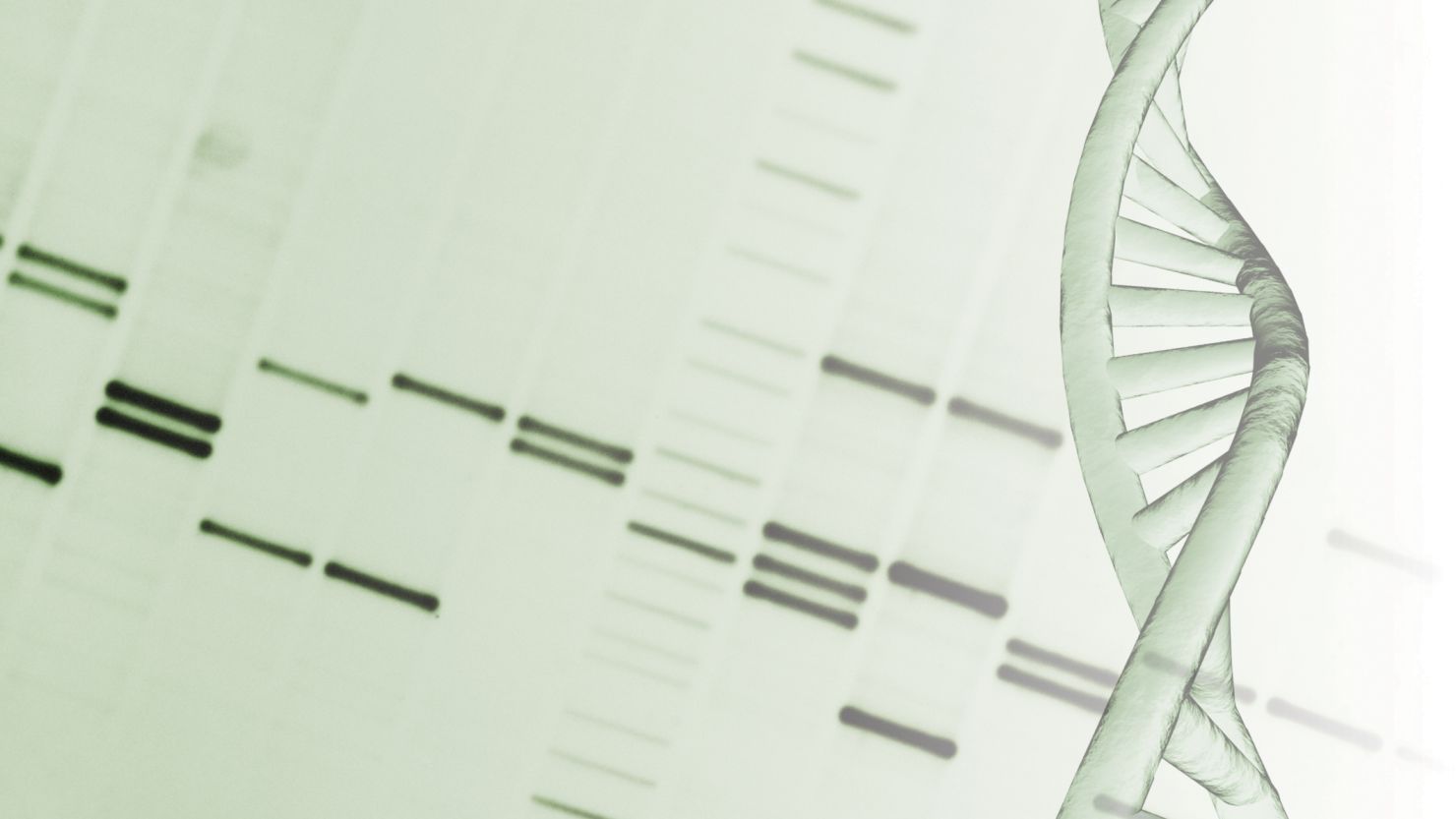 The Supreme Court is mulling whether the government should allow patents for human genes.