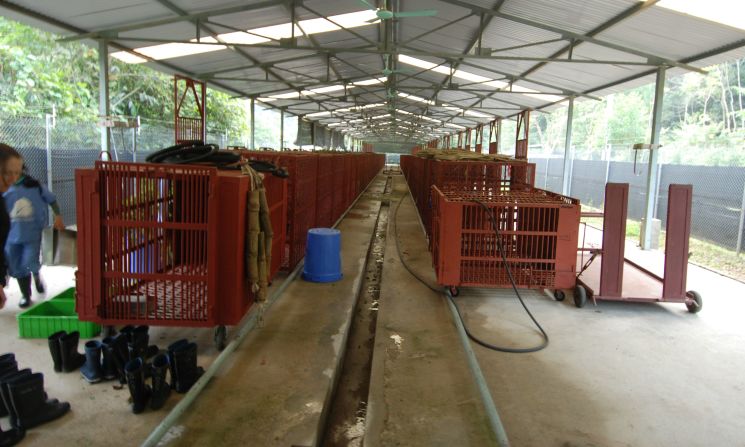 The quarantine center at the bear facility. The park has an agreement to take 200 rescued bears.
