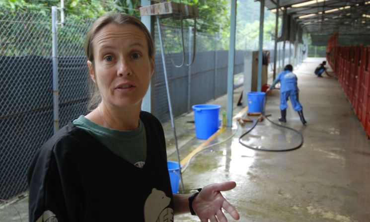 Chief vet Kirsty Officer says Animals Asia has rescued 104 bears since the centre started in 2005. 