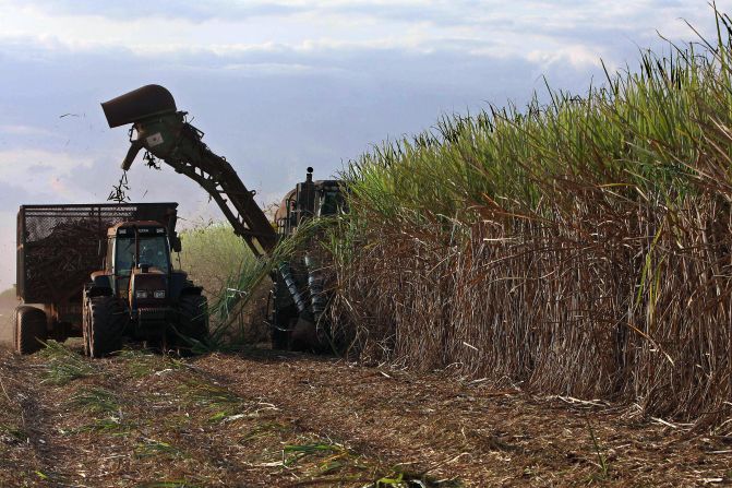 Alcantara says most of Braskem's sugarcane is grown in the state of Sao Paulo, which is a long way from the protected Amazon rainforest.