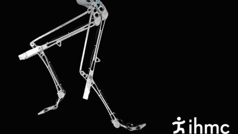 Image from FastRunner simulation video