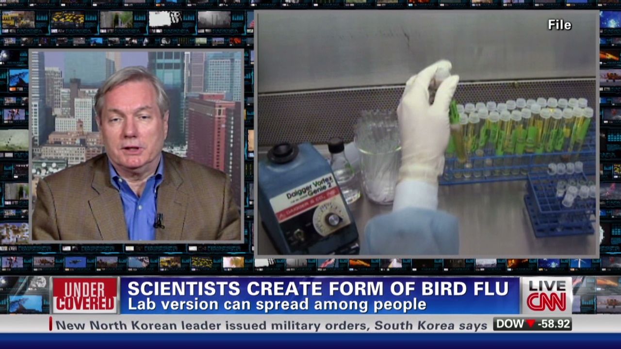 nr Bird Flu tests seen as terror threat_00042507