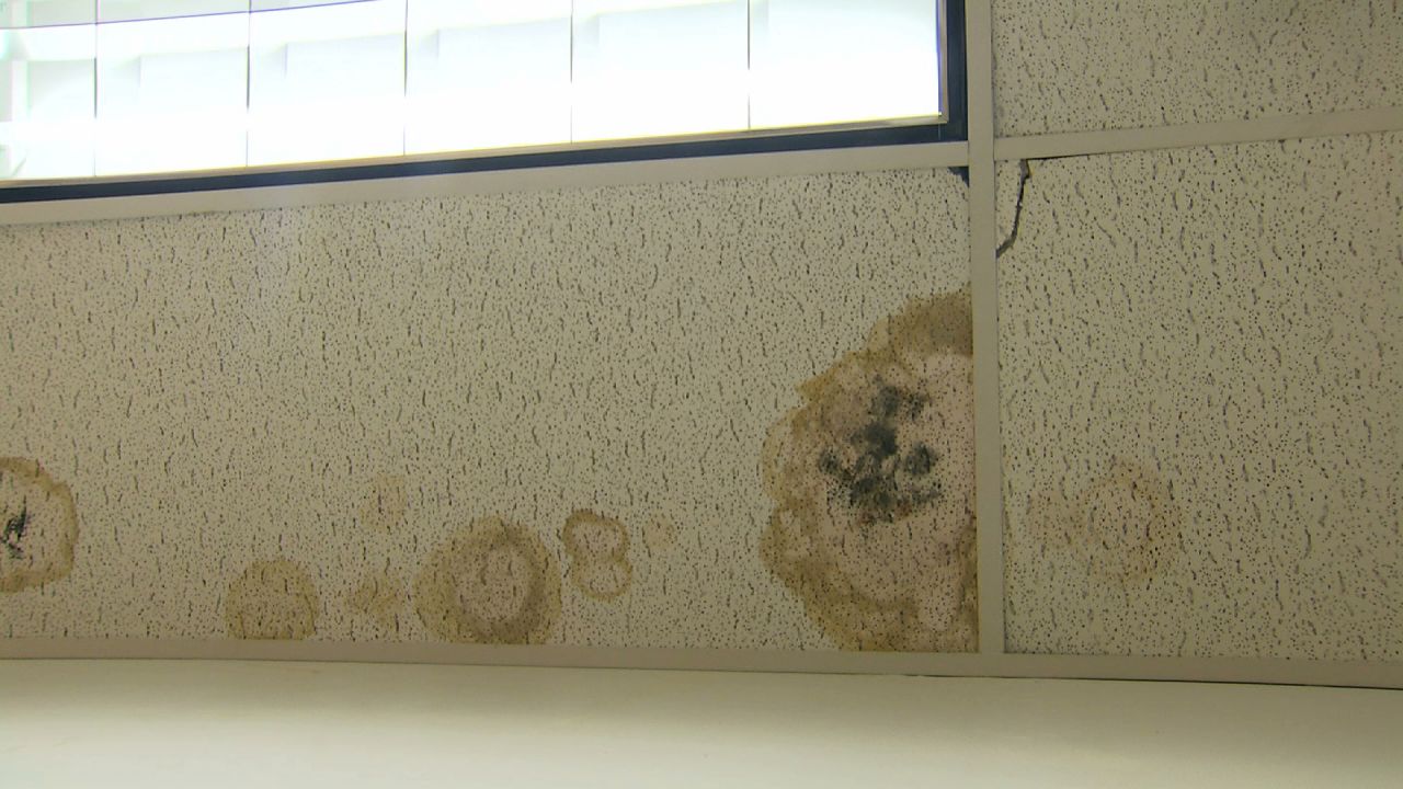 There are no federal health standards for school air, but here are five simple checkpoints for problems. Seeing or smelling mold is a trouble sign which must be addressed immediately. Cleaning it is insufficient, experts say. The moisture source must be found and eliminated.