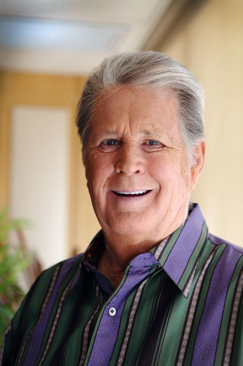 Brian Wilson Fast Facts | CNN