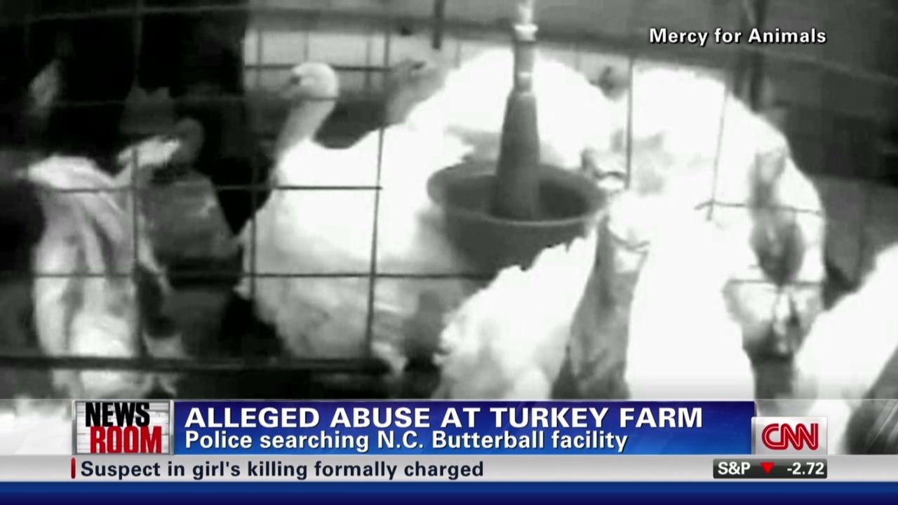 Police are investigating claims of animal abuse at a Butterball plant CNN