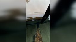 111782_FloodwaterKYRestaurant thumbnail.jpg
