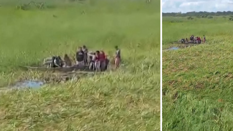 Five Rescued After Plane Crash in Alligator-Infested Bolivia Swamp