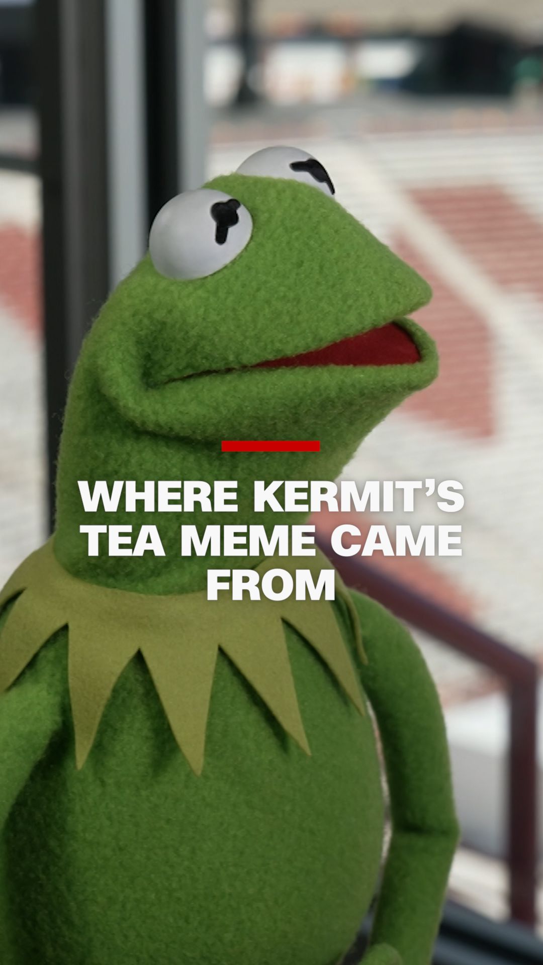 112307_Kermit SidnerVertical-meme.DirtyThumb.jpg