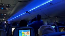 112386_BirdsOnPlane.jpg