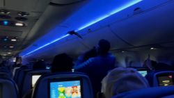 112386_BirdsOnPlane.jpg