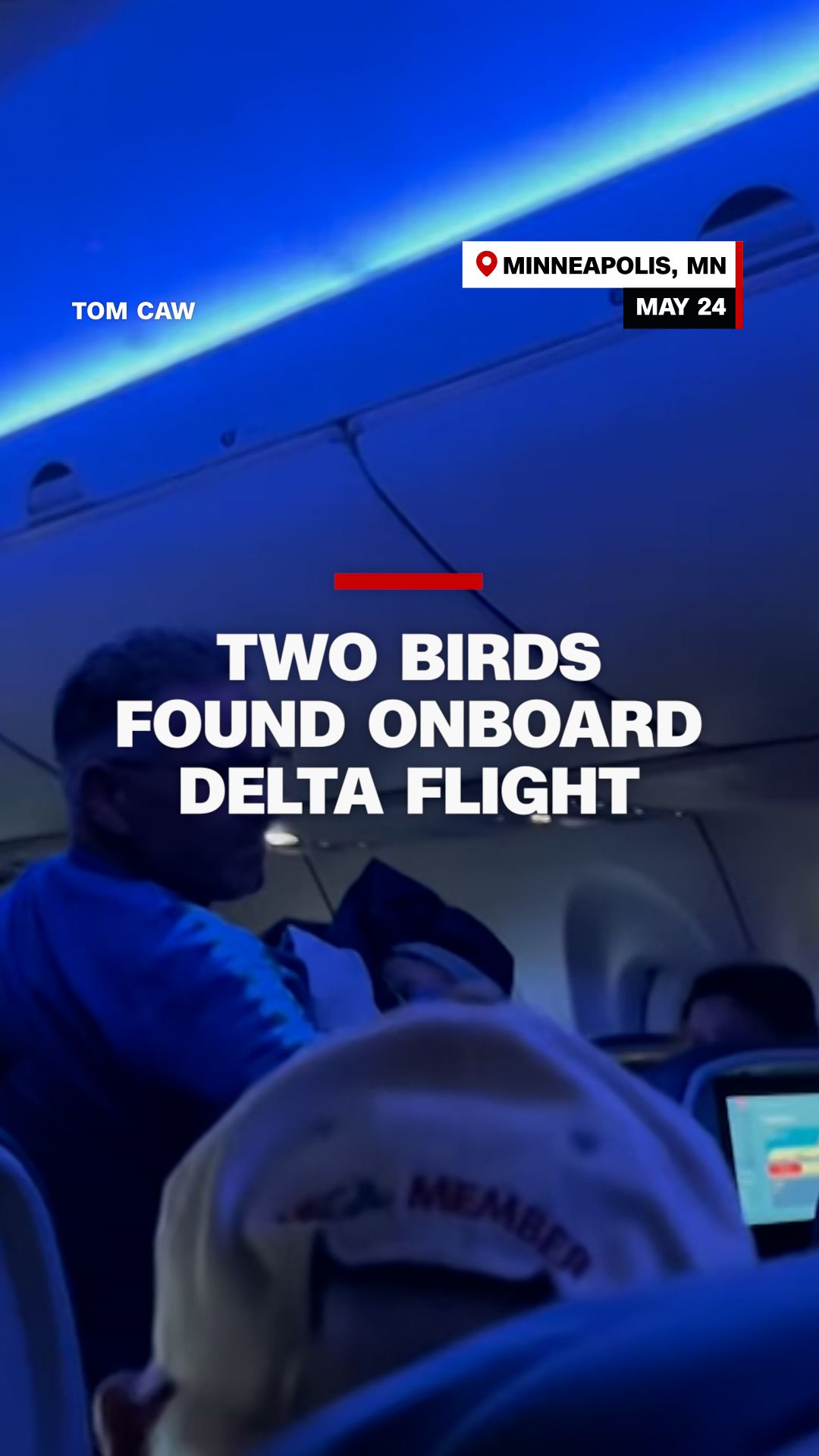 112386_BirdsOnPlaneVertical.jpg